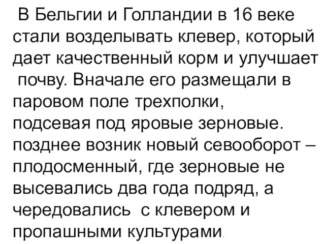 В Бельгии и Голландии в 16 веке стали возделывать клевер, который