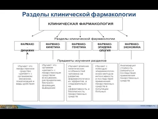 ФАРМАКО- ДИНАМИКА ФАРМАКО- КИНЕТИКА ФАРМАКО- ГЕНЕТИКА ФАРМАКО- ЭПИДЕМИ-ОЛОГИЯ ФАРМАКО- ЭКОНОМИКА Разделы клинической фармакологии