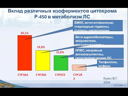 Вклад различных изоферментов цитохрома Р-450 в метаболизм ЛС Кукес В.Г. 2004