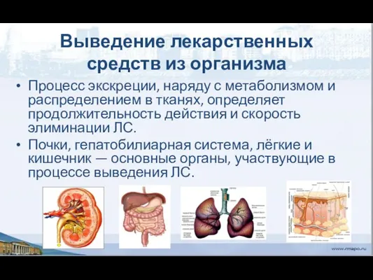 Выведение лекарственных средств из организма Процесс экскреции, наряду с метаболизмом и