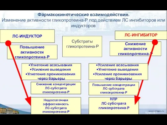 Фармакокинетические взаимодействия. Изменение активности гликопротеина-Р под действием ЛС ингибиторов или индукторов