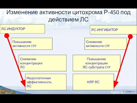 Изменение активности цитохрома Р-450 под действием ЛС ЛС-ИНДУКТОР ЛС-ИНГИБИТОР Повышение активности