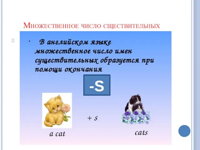 Множественное число сществительных