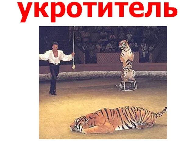 укротитель