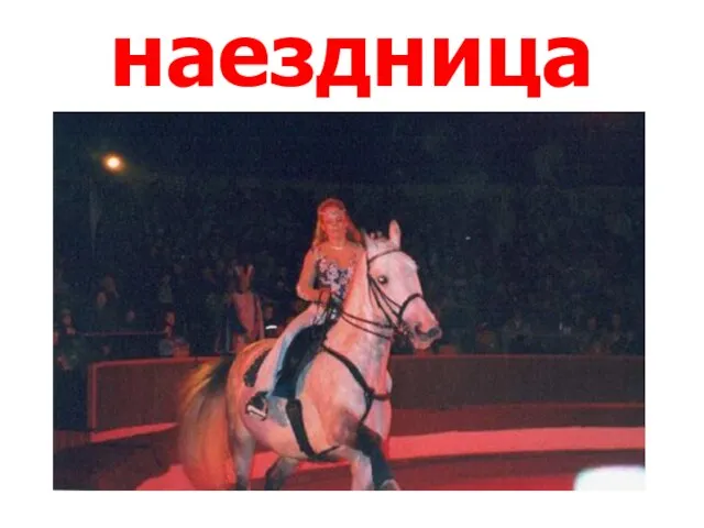 наездница