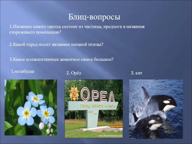 Блиц-вопросы 1.Название какого цветка состоит из частицы, предлога и названия сторожевого