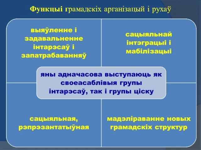 Функцыі грамадскіх арганізацый і рухаў