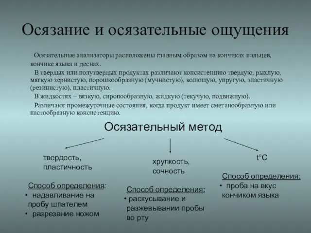 Осязание и осязательные ощущения Осязательные анализаторы расположены главным образом на кончиках