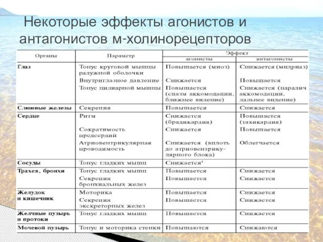 Некоторые эффекты агонистов и антагонистов м-холинорецепторов