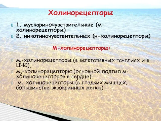 1. мускариночувствительные (м-холинорецепторы) 2. никотиночувствительных (н-холинорецепторы) М-холинорецепторы: м1-холинорецепторы (в вегетативных ганглиях