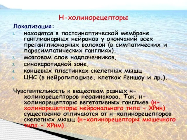 Н-холинорецепторы Локализация: находятся в постсинаптической мембране ганглионарных нейронов у окончаний всех