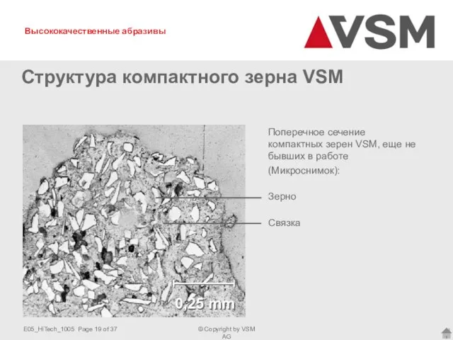 Поперечное сечение компактных зерен VSM, еще не бывших в работе (Микроснимок):