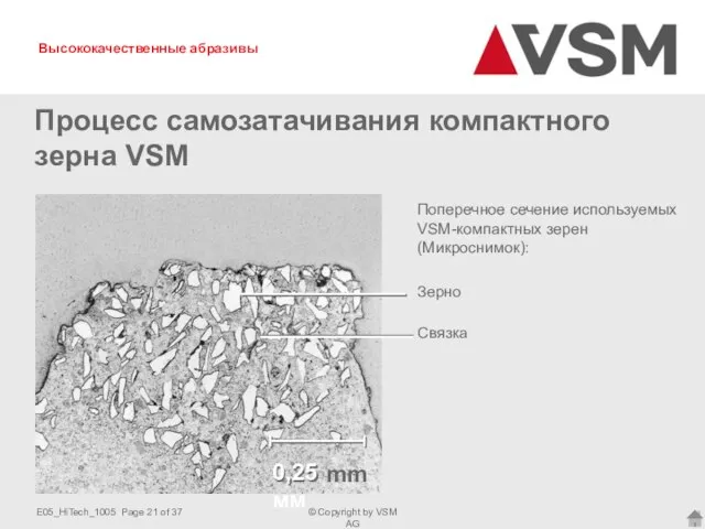 Поперечное сечение используемых VSM-компактных зерен (Микроснимок): Зерно Связка 0,25 mm 0,25