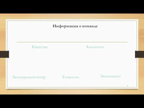 Капитан Аналитик Экономист Экспериментатор Технолог Информация о команде