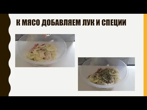 К МЯСО ДОБАВЛЯЕМ ЛУК И СПЕЦИИ