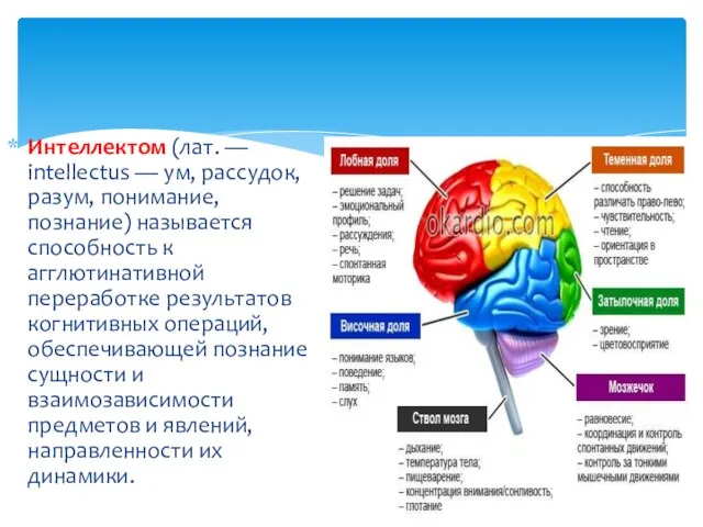 Интеллектом (лат. — intellectus — ум, рассудок, разум, понимание, познание) называется