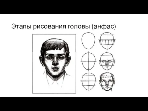 Этапы рисования головы (анфас)