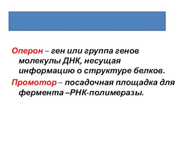 Оперон – ген или группа генов молекулы ДНК, несущая информацию о