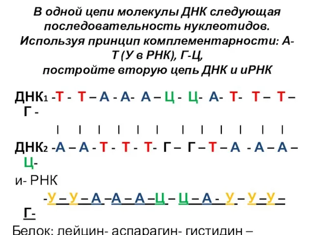 В одной цепи молекулы ДНК следующая последовательность нуклеотидов. Используя принцип комплементарности: