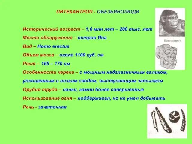 ПИТЕКАНТРОП - ОБЕЗЬЯНОЛЮДИ Исторический возраст – 1,6 млн лет – 200