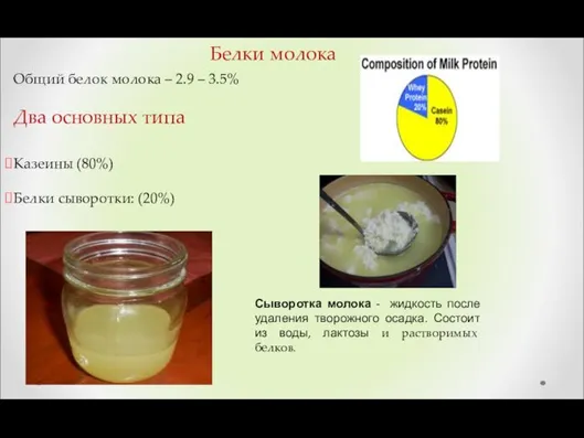 Белки молока Общий белок молока – 2.9 – 3.5% Два основных