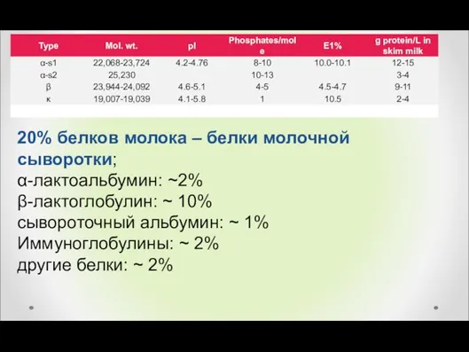 20% белков молока – белки молочной сыворотки; α-лактоальбумин: ~2% β-лактоглобулин: ~