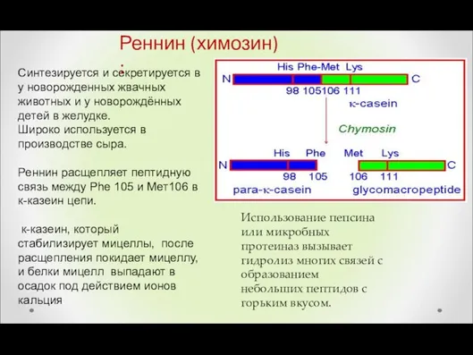 Синтезируется и секретируется в у новорожденных жвачных животных и у новорождённых