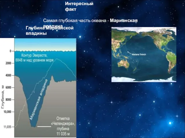 Интересный факт Самая глубокая часть океана - Марианская впадина Глубина Марианской впадины