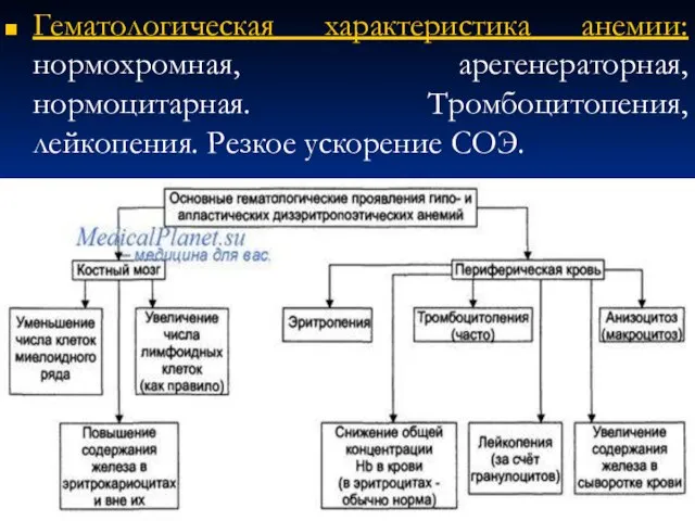 Гематологическая характеристика анемии: нормохромная, арегенераторная, нормоцитарная. Тромбоцитопения, лейкопения. Резкое ускорение СОЭ.