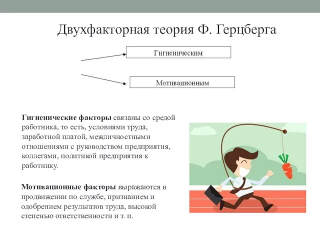 Двухфакторная теория Ф. Герцберга Гигиенические факторы связаны со средой работника, то