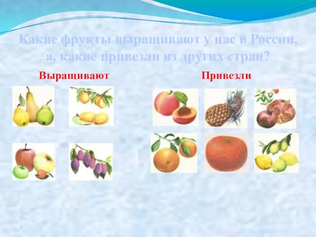 Какие фрукты выращивают у нас в России, а, какие привезли из других стран? Выращивают Привезли