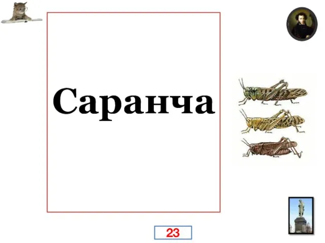 Отчёт Пушкина: Она 23 мая — летела, (Одесса) 24 мая —