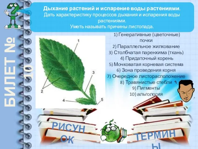 БИЛЕТ № 10 Дыхание растений и испарение воды растениями. Дать характеристику