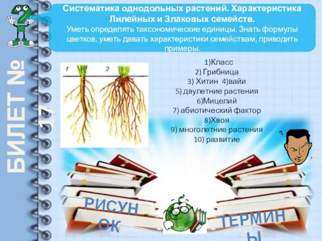 БИЛЕТ № 17 Систематика однодольных растений. Характеристика Лилейных и Злаковых семейств.