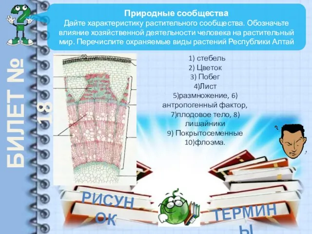 БИЛЕТ № 18 Природные сообщества Дайте характеристику растительного сообщества. Обозначьте влияние