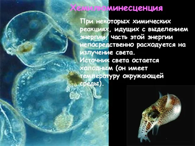 * . Хемилюминесценция При некоторых химических реакциях, идущих с выделением энергии,