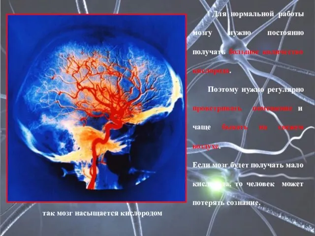 так мозг насыщается кислородом Для нормальной работы мозгу нужно постоянно получать