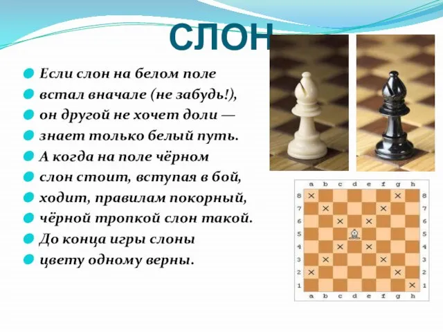 СЛОН Если слон на белом поле встал вначале (не забудь!), он