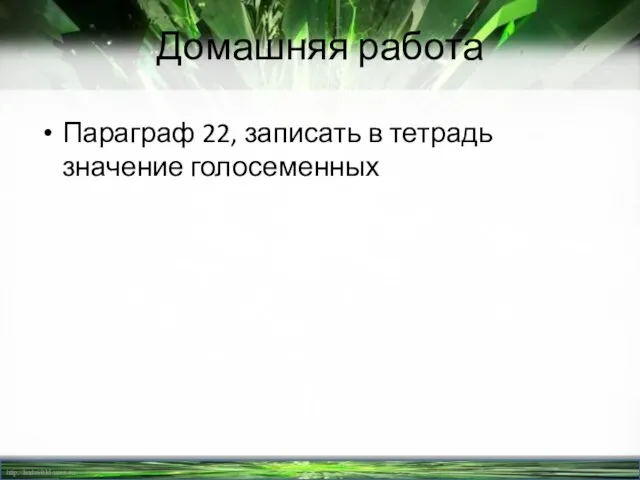 Домашняя работа Параграф 22, записать в тетрадь значение голосеменных