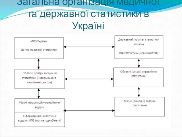 Загальна організація медичної та державної статистики в Україні