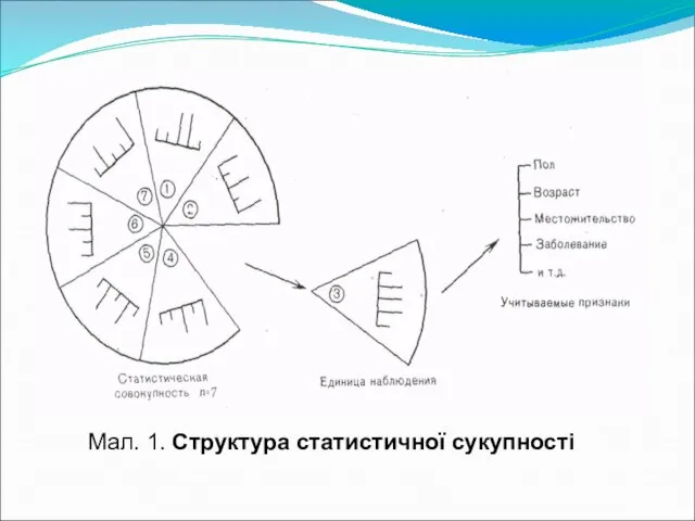 Мал. 1. Структура статистичної сукупності