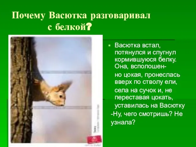 Почему Васютка разговаривал с белкой? Васютка встал,потянулся и спугнул кормившуюся белку.