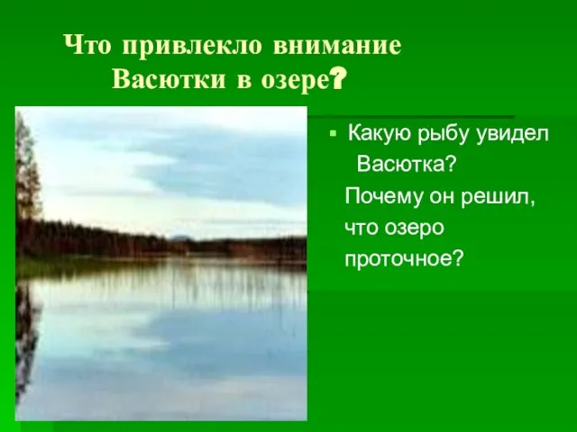 Что привлекло внимание Васютки в озере? Какую рыбу увидел Васютка? Почему он решил, что озеро проточное?