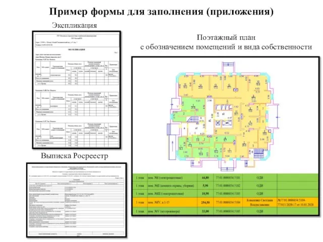 Пример формы для заполнения (приложения) Экспликация Выписка Росреестр Поэтажный план с обозначением помещений и вида собственности