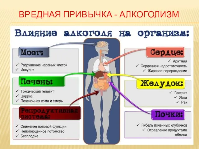 ВРЕДНАЯ ПРИВЫЧКА - АЛКОГОЛИЗМ