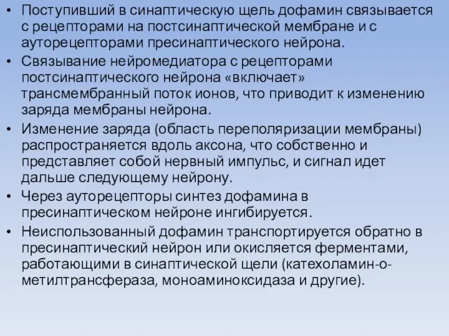 Поступивший в синаптическую щель дофамин связывается с рецепторами на постсинаптической мембране