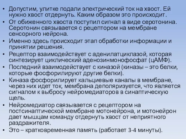 Допустим, улитке подали электрический ток на хвост. Ей нужно хвост отдернуть.