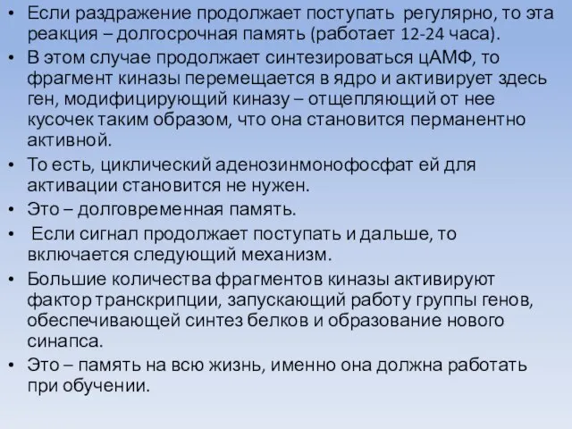 Если раздражение продолжает поступать регулярно, то эта реакция – долгосрочная память