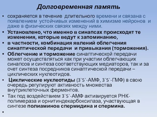 Долговременная память сохраняется в течение длительного времени и связана с появлением