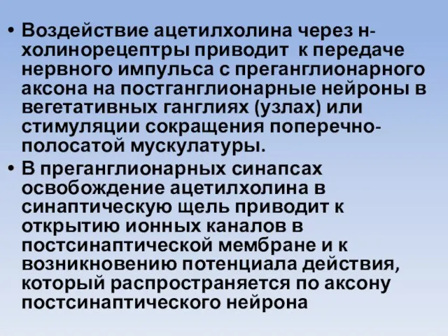 Воздействие ацетилхолина через н-холинорецептры приводит к передаче нервного импульса с преганглионарного